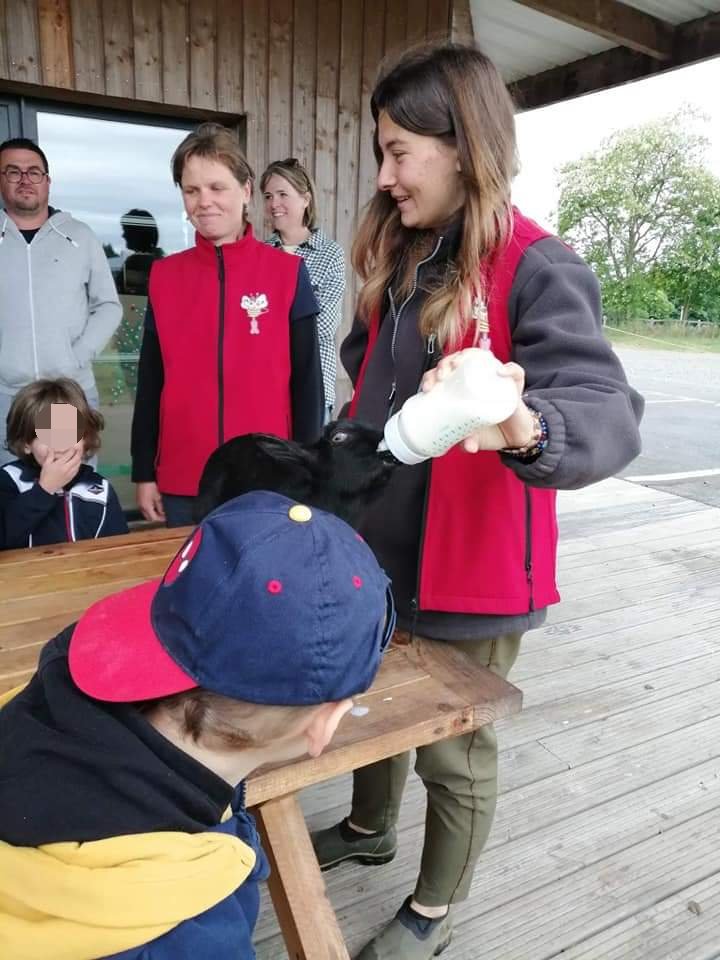 Amandine assure le nourrissage d'un agneau au biberon